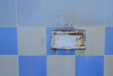 Yüzeyinde küfler büyüyen kirli sabun kapları, hastalık ya da alerjiye, temizlik konseptine neden olabilir.  