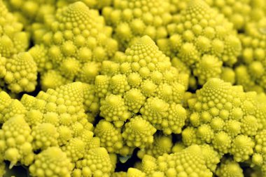 Brokoli Romanesco - Brokoli Besin Çeşitliliği