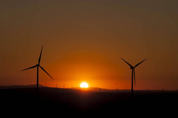 Windmill field at sunset - spain — Stock Photo, Image