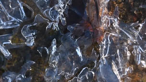 Ξεπάγωμα Πάγου Και Νερού Που Τρέχει Ένα Μικρό Ποτάμι Χειμώνα — Αρχείο Βίντεο