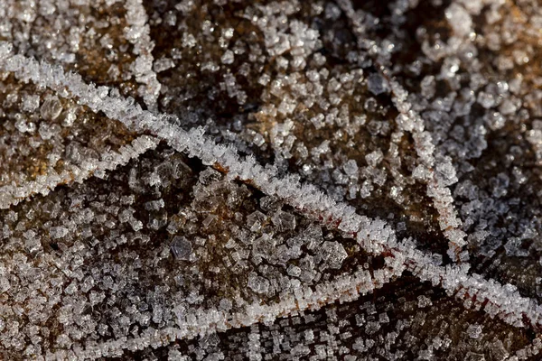Detalhe Gelo Lençol Inverno Outono — Fotografia de Stock