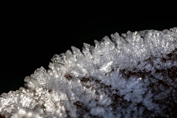 Részlet Jég Egy Lapon Tél Ősz — Stock Fotó