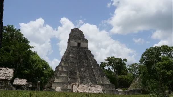 Τικάλ Αστικά Ερείπια Του Πολιτισμού Μάγια Στη Γουατεμάλα Πάροδο Του — Αρχείο Βίντεο