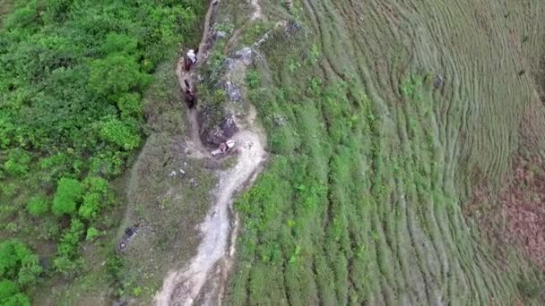 Aventures Cheval Dans Les Montagnes Vilcabamba Équateur — Video