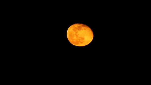 谷や生き物とオレンジの超完全な血の月の顔 谷や生き物と非常に詳細な月の表面を持つ怖いフルオレンジの血の月 恐怖のために適しています 怖いと恐怖のシーン 狼の夜ハロウィンの悪夢 — ストック動画