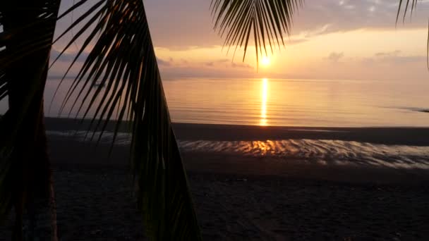 Молодий Чоловік Райському Пляжі Світанку Сидячи Біля Моря Світанку Карибському — стокове відео
