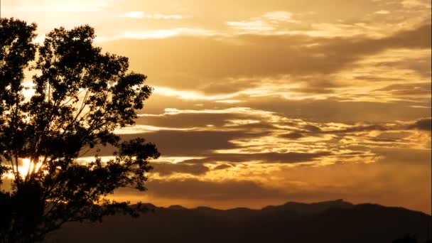 Pôr Sol Golden Cloudscape Atrás Uma Árvore Time Lapse Golden — Vídeo de Stock