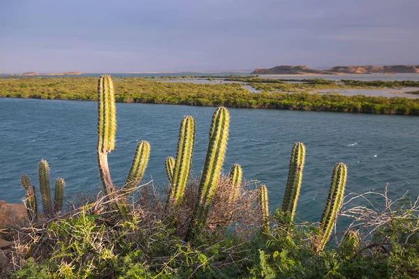 Baía de Hondita perto de Punta Gallinas é o ponto norte do Sul A — Fotografia de Stock