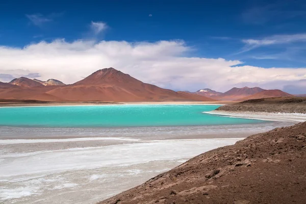 Gröna lagunen (Laguna Verde), Eduardo Avaroa Andinska Fauna snabbversionen — Stockfoto