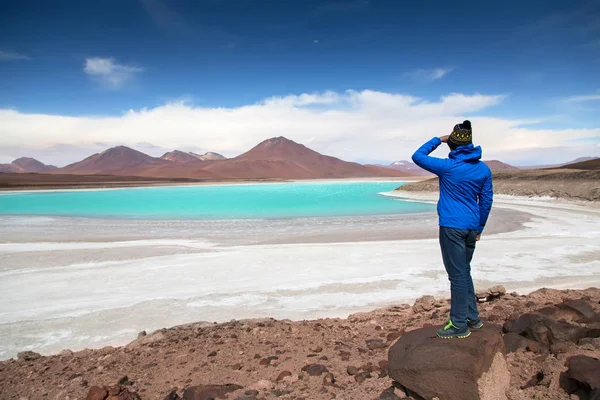 Lagoa Verde (Laguna Verde), Eduardo Avaroa Andino Fauna Nationa — Fotografia de Stock