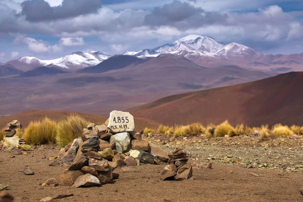 Náhorní plošině Altiplano, Eduardo Avaroa andské Fauna národní Res — Stock fotografie