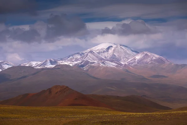 Högplatån Altiplano, Eduardo Avaroa Andinska Fauna nationella Res — Stockfoto