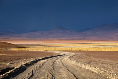 Altiplano yayla, Eduardo Avaroa and Fauna Ulusal Res