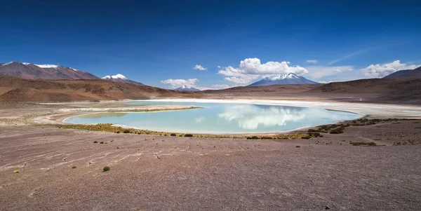 Lagune de haute altitude sur le plateau Altiplano, Eduardo Avaroa An — Photo