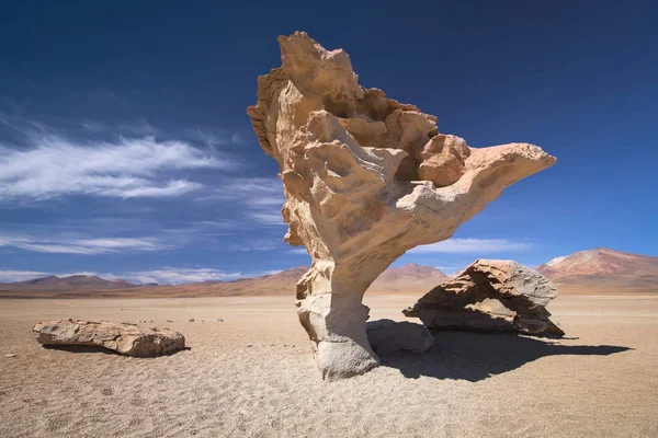 Stone tree, Altiplano plateau, Eduardo Avaroa Andean Fauna Natio — Stock Photo, Image