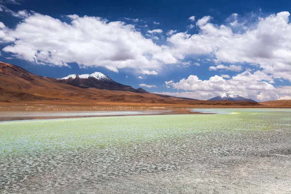 Lagune de haute altitude avec flamants roses sur le plateau Altiplano, Ed — Photo