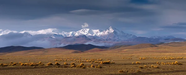 Haut plateau de l'Altiplano, Eduardo Avaroa Faune andine National Res — Photo