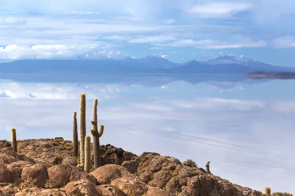 西岛，乌尤尼盐湖 （Salar de 乌尤尼），Aitiplano、 勃利 — 图库照片