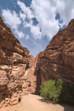 Amphitheater, Quebrada de las Conchas, Cafayate, Salta, Argentin