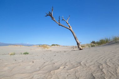 Kum tepeleri Los medanos, Cafayate, Salta, Argentina