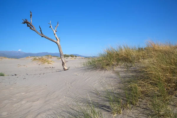 Sand dunes Los medanos, Cafayate, Salta, Argentina — Stock Photo, Image