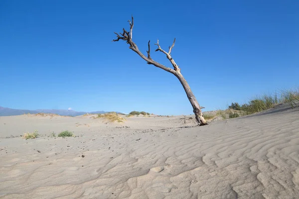 Песчаные дюны Los medanos, Cafayate, Сальта, Аргентина — стоковое фото