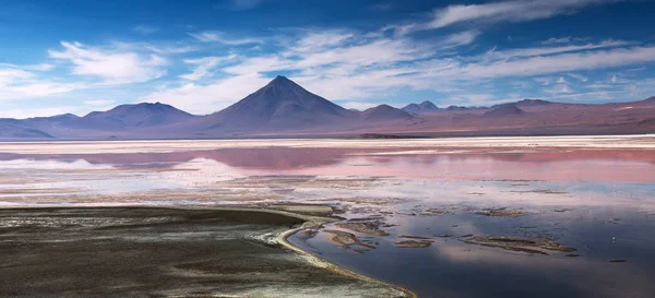 Lagoa de Colorada com flamingos no planalto Altiplano, Eduardo — Fotografia de Stock