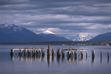 Puerto Natales, Chile