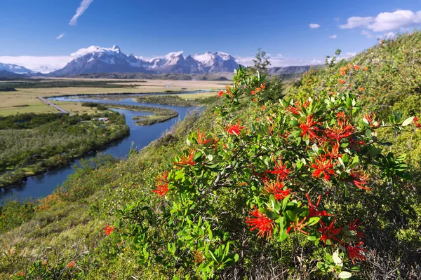 Nationaal park Torres Del Paine, Chili — Stockfoto