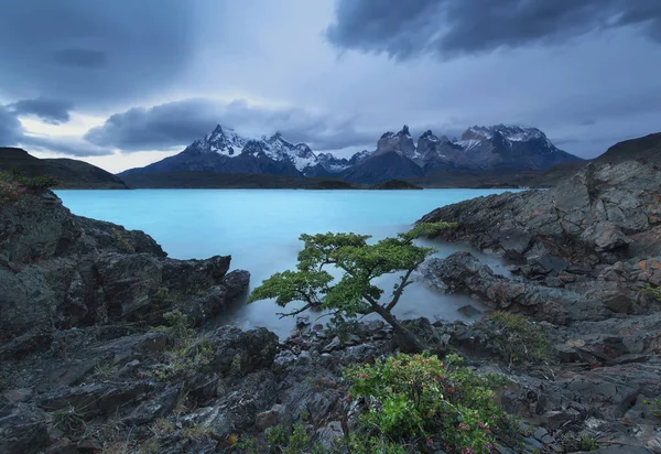 Pehoe sjön, Torres del Paine nationalpark, Chile — Stockfoto