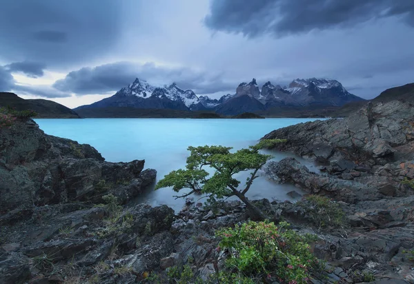 Pehoe jezero, národního parku Torres del Paine, Chile — Stock fotografie