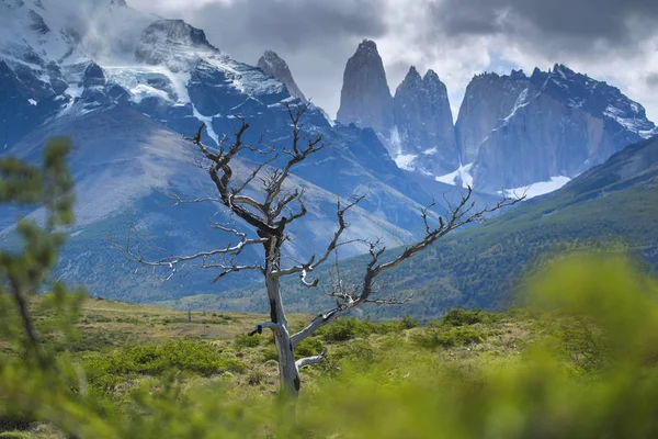 Torres del Paine nationalpark, Patagonien, Chile — Stockfoto