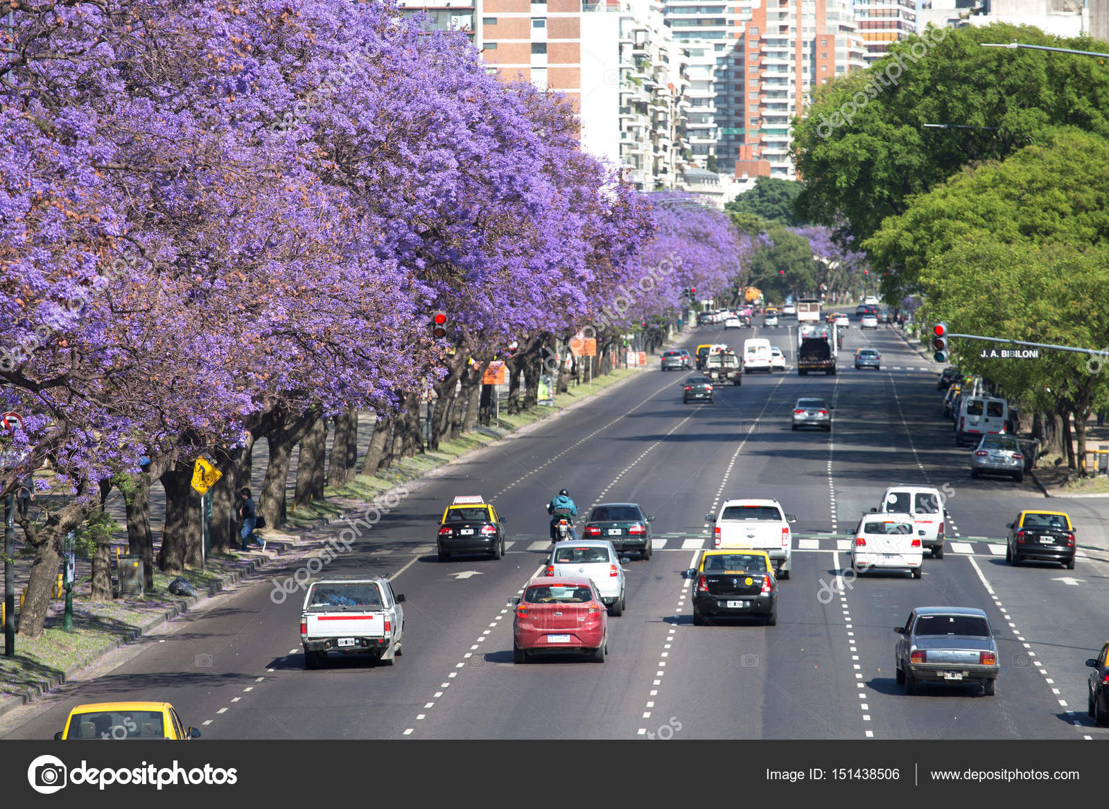 Imágenes la primavera en argentina Buenos Aires 11 de noviembre