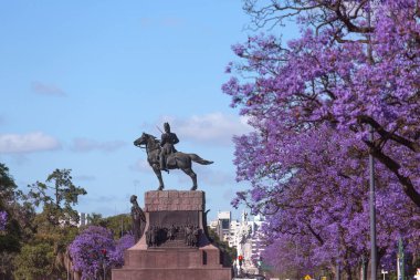 Bahar çiçekli jakaranda Buenos Aires, Arjantin
