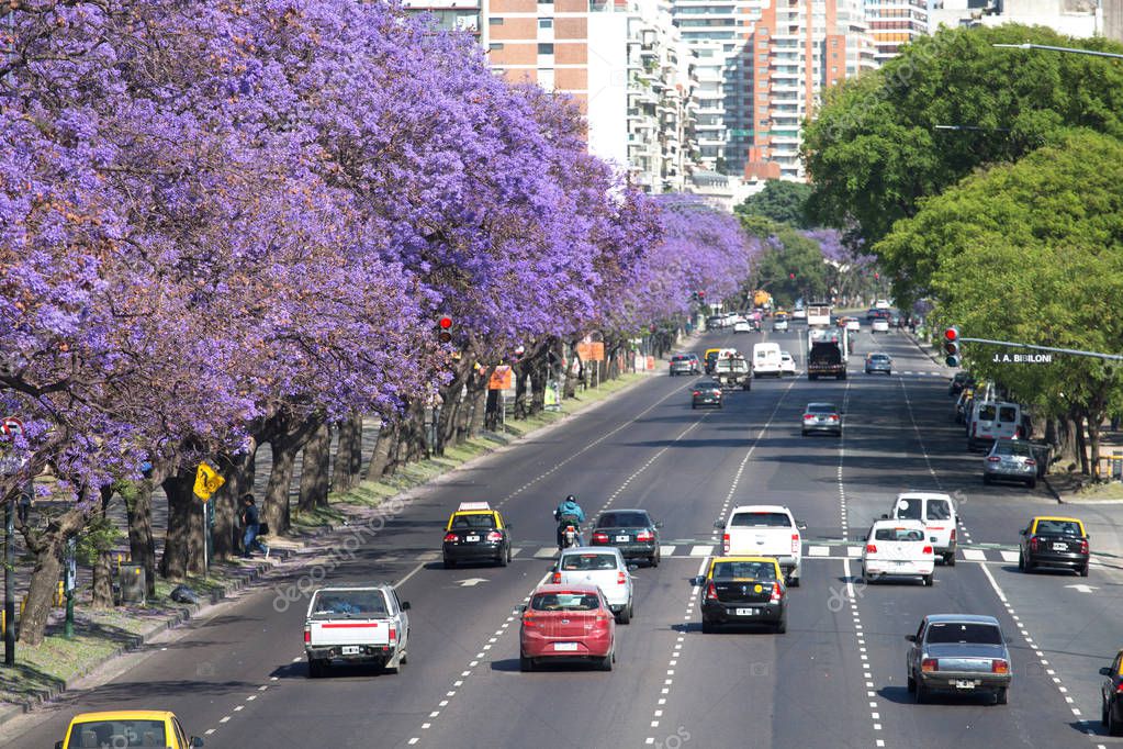 Imágenes la primavera en argentina Buenos Aires 11 de noviembre
