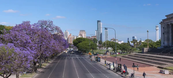 BUENOS AIRES NOVEMBRO 11: Primavera jacarandá floração em Buenos A — Fotografia de Stock