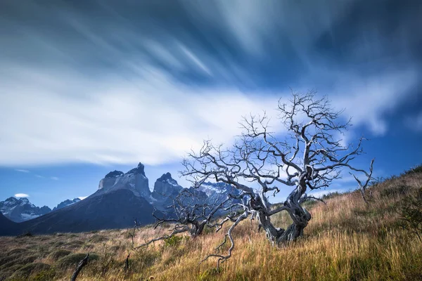 Národní park Torres del Paine, Patagonia, Chile — Stock fotografie