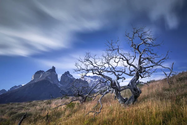 Národní park Torres del Paine, Patagonia, Chile — Stock fotografie