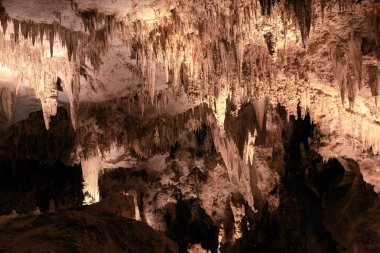 Carlsbad Caverns, New Mexico 