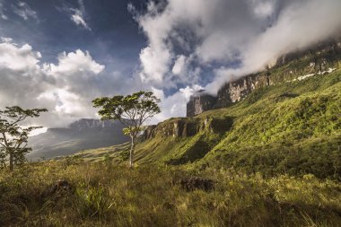 Roraima y Kukenan Dağları, Venezuela