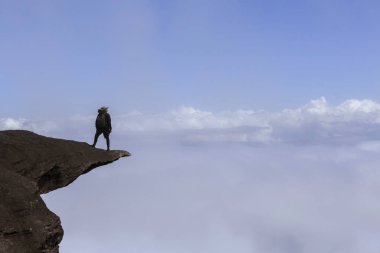 La Proa, Roraima Dağı, Venezuela