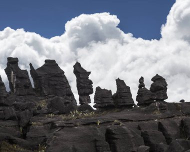Kaya oluşumları, Mount Roraima, Venezuela
