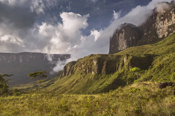 Mountains Roraima y Kukenan, Venezuela — Stock Photo, Image