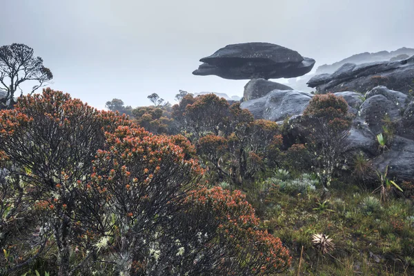 霧と雨が、ベネズエラのロライマ山 — ストック写真