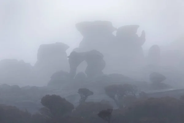 霧と雨が、ベネズエラのロライマ山 — ストック写真