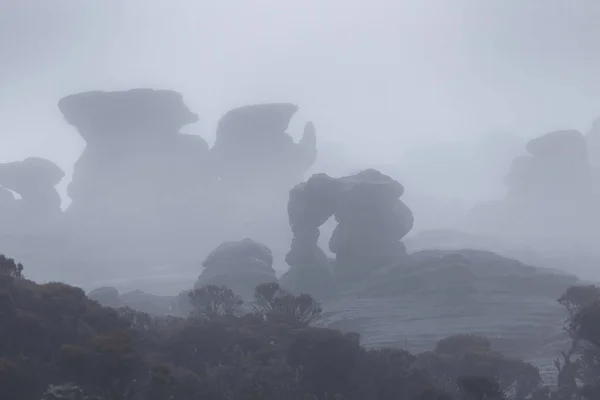 Mist en regen op Mount Roraima, Venezuela — Stockfoto