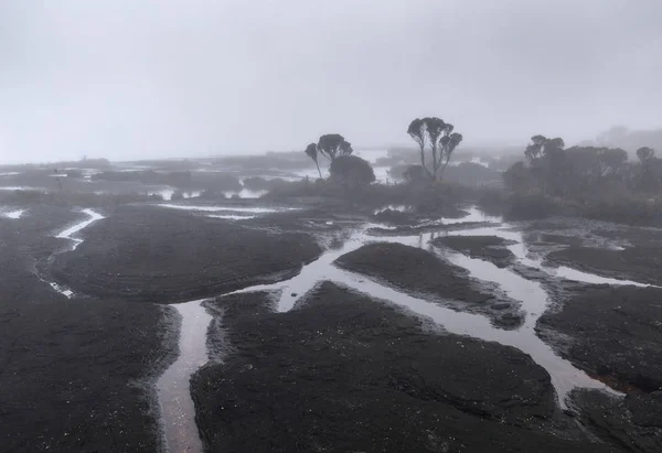 Туман и дождь на горе Рорайма, Венесуэла — стоковое фото