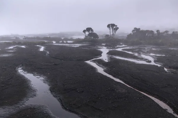 Туман и дождь на горе Рорайма, Венесуэла — стоковое фото
