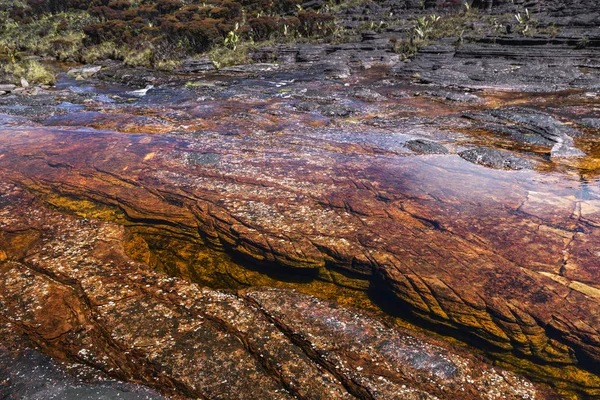 Colored rivers and pools on Mount Roraimpa, Venezuela — Stock Photo, Image