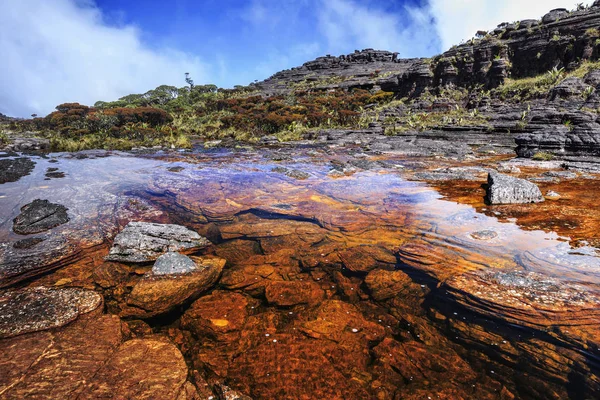 Rios coloridos e piscinas no Monte Roraimpa, Venezuela — Fotografia de Stock